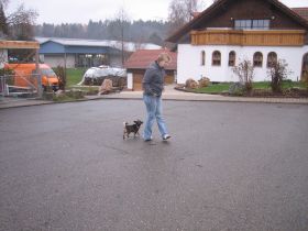 IMG_3729.JPG